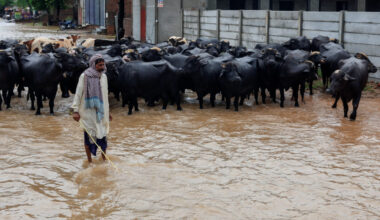 Monsoon rains and rising water levels in Sialkot district