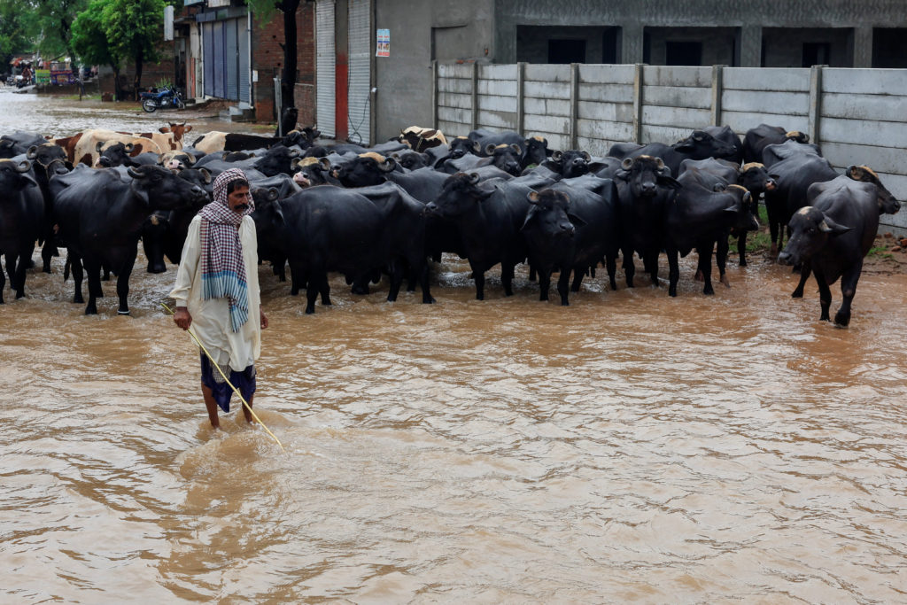 Monsoon rains and rising water levels in Sialkot district