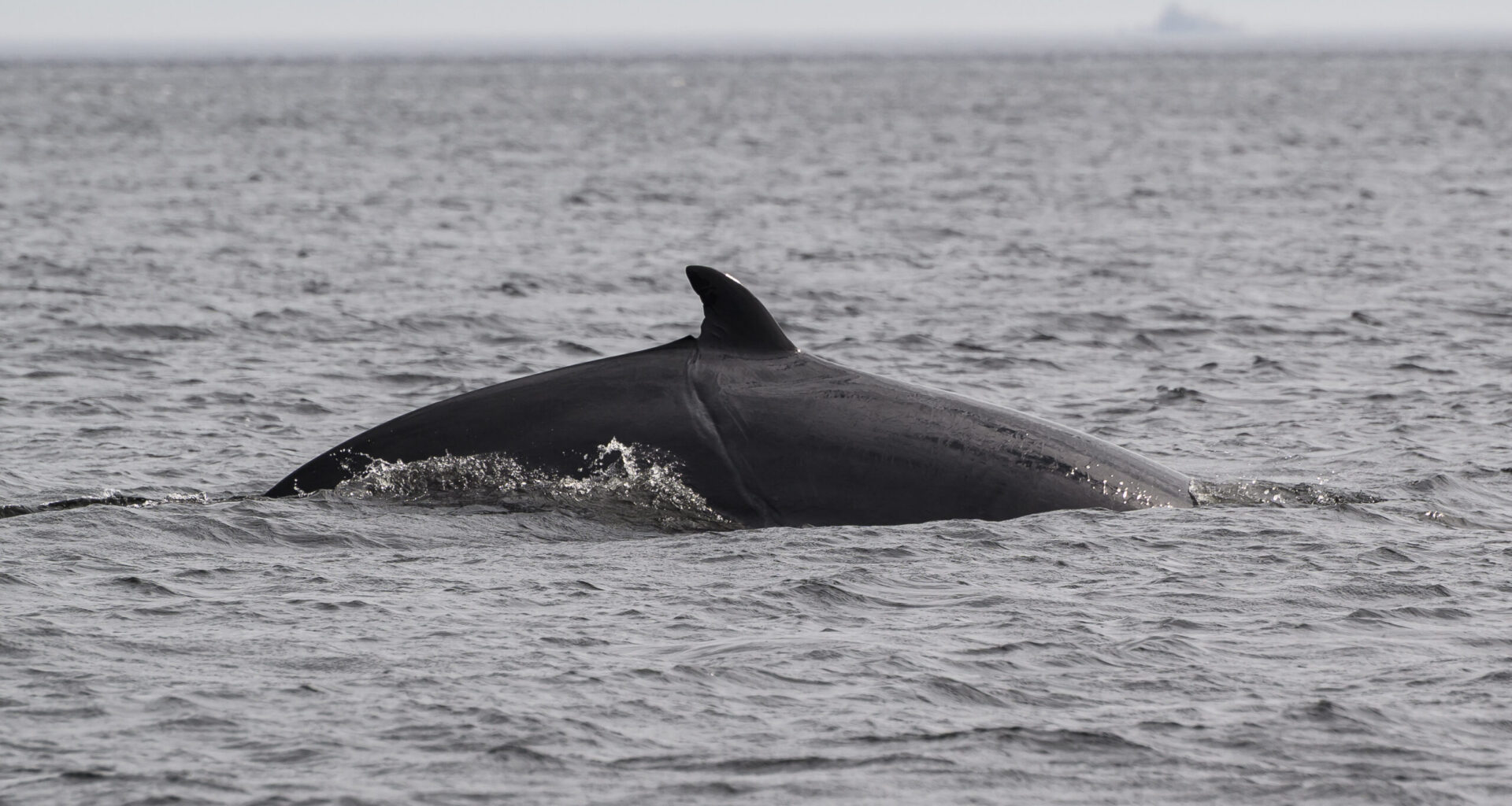 Treaty to protect deep ocean clears way to enter into force