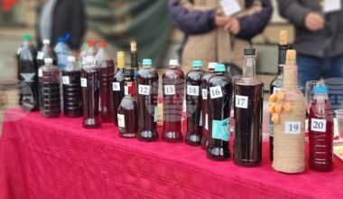 Proposed Restrictions on Homemade Wine and Liquor Production Spark Outcry in Bulgaria, Government Pulls Back Bill