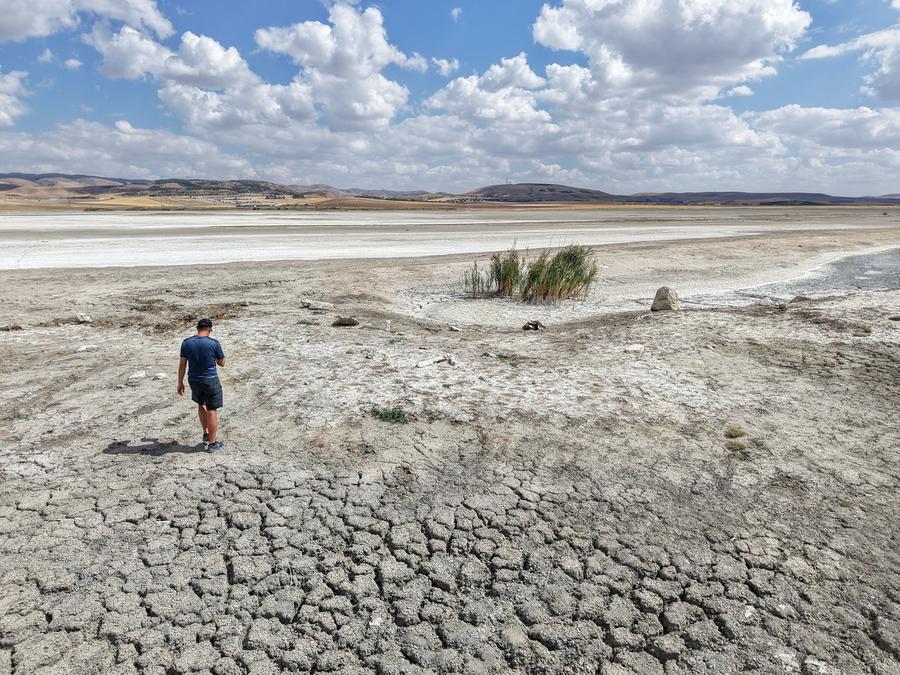 Changing climate threatens wetlands in Turkish capital Ankara-Xinhua