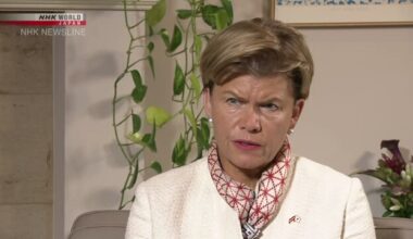 Latvia's foreign minister stresses need to boost drone-countering capabilities