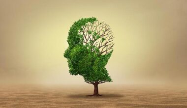 Decoding the Impact of Climate Change on Mental Health