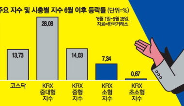 사진설명