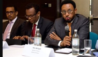 Somalia, IMF open fourth review to assess reform progress