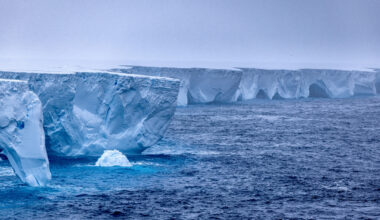 The world's largest iceberg, named A23a, is seen in Antarctica on January 14, 2024, in this picture obtained from social media.