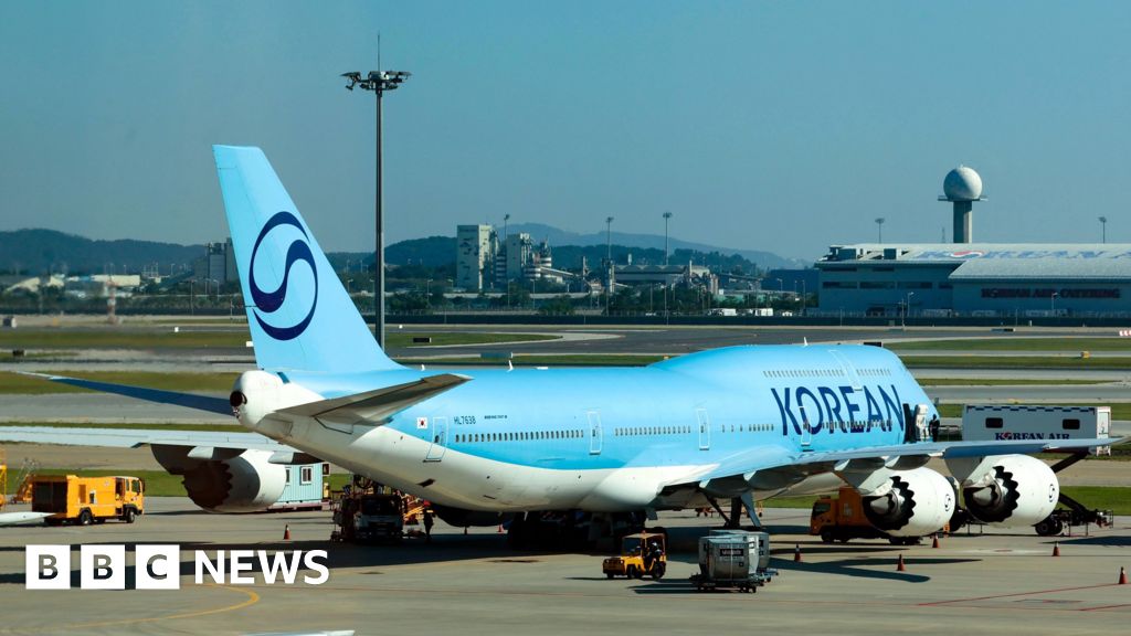 South Korea workers detained in US see may return home delayed