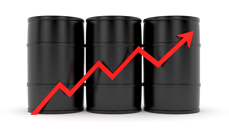 Ganope Records 6% Crude Oil Output Growth in FY 2024/25