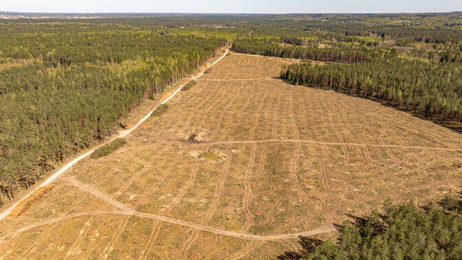 Kaebused Nursipalu harjutusvälja kohta suurendavad Rõuge valla halduskoormust | Eesti