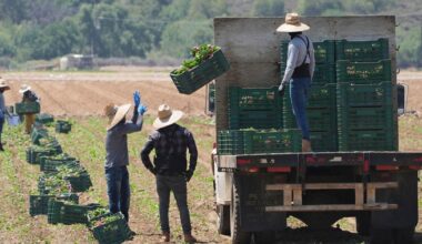 Trump’s immigration policy threatens key sectors of California’s economy, long reliant on immigrant workers