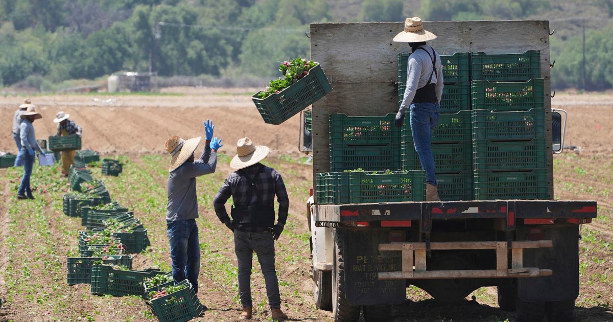 Trump’s immigration policy threatens key sectors of California’s economy, long reliant on immigrant workers