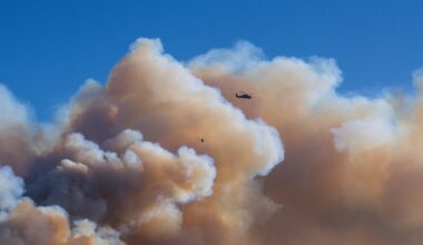 Scientists predict wildfire smoke will be the most costly climate-related health hazard