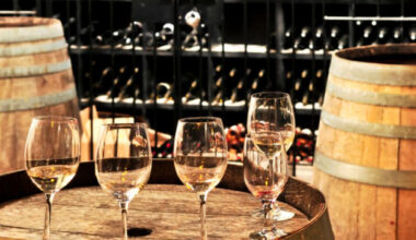 България с амбиции за туристическа дестинация за винен туризъм, споменават и Пловдив