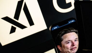 Elon Musk announces plans for 'Macrohard' company to rival software giant Microsoft: 'Purely AI'