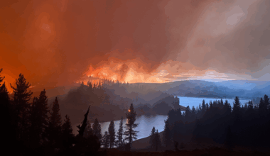 Why fire “season” is now all year long and how wild land firefighters are trying to keep up.﻿