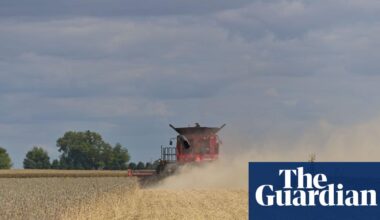 Meat is a leading emissions source – but few outlets report on it, analysis finds | Greenhouse gas emissions