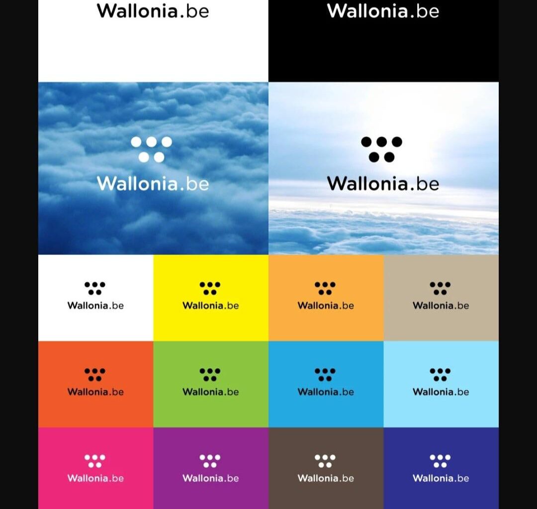 Wallonia paid 1 million euro's of taxmoney to pay for their new logo. 5 dots.