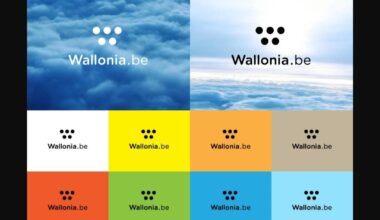 Wallonia paid 1 million euro's of taxmoney to pay for their new logo. 5 dots.