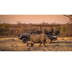 Anantara Stanley & Livingstone Victoria Falls Hotel Celebrates World Rhino Day on 22 September