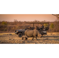 Anantara Stanley & Livingstone Victoria Falls Hotel Celebrates World Rhino Day on 22 September