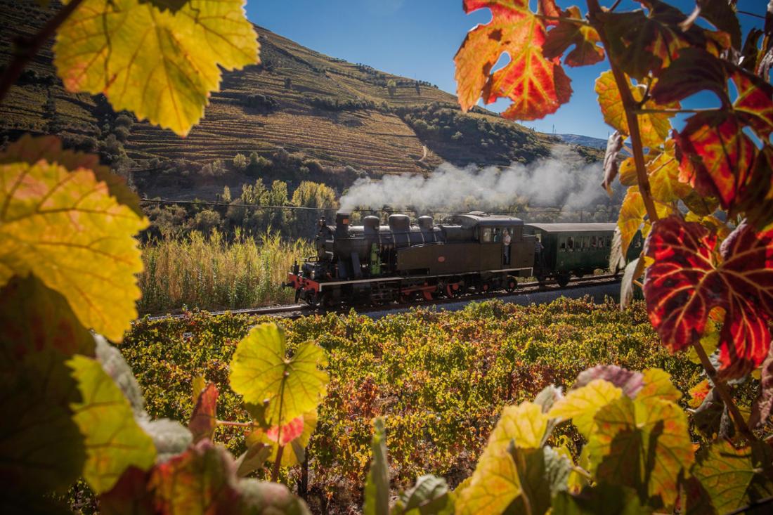 RECORD DATE NOT STATED  A glorious scenery of an old train in the middle of Douro vineyards in autum.
