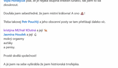 Linkedin elita objevila Reddit. Tváří se nad věcí, ale je vidět, že to nesou dost těžko :D