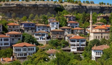 When a tree speaks: Preserving nature in Türkiye’s Safranbolu