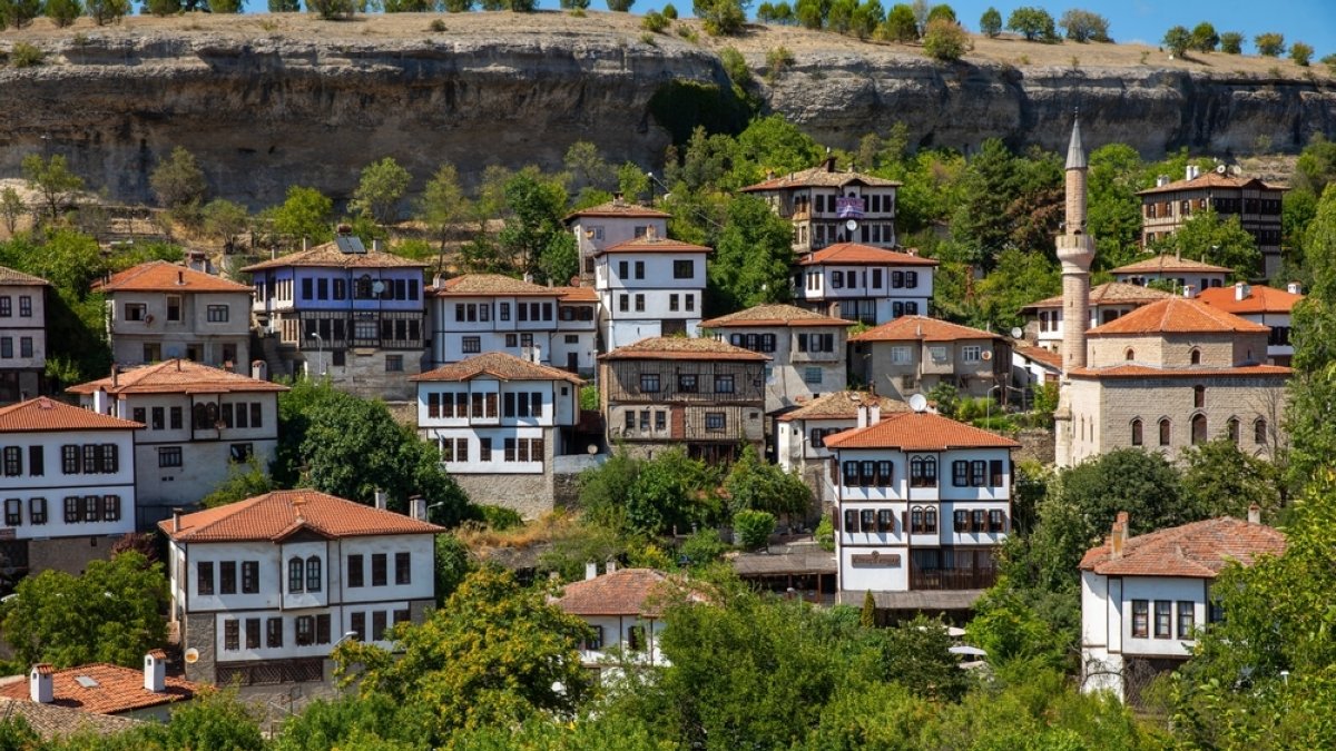 When a tree speaks: Preserving nature in Türkiye’s Safranbolu