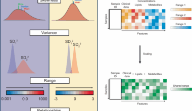 Best practices and tools in R and Python for statistical processing and visualization of lipidomics and metabolomics data