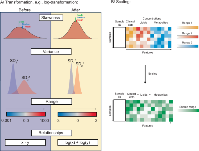 Best practices and tools in R and Python for statistical processing and visualization of lipidomics and metabolomics data