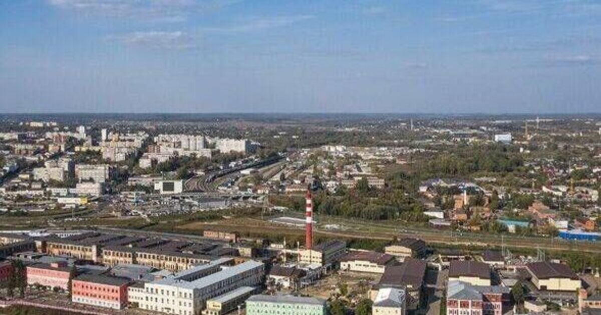 Vladimir Putin 'using mafia networks to smuggle weapons and ammo into Italy' - World News - News