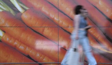 Euro inflation creeps above ECB target 