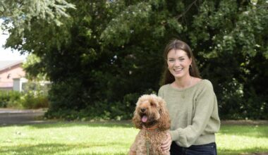 I started housesitting in Ireland and abroad to avoid paying rent – this is my experience