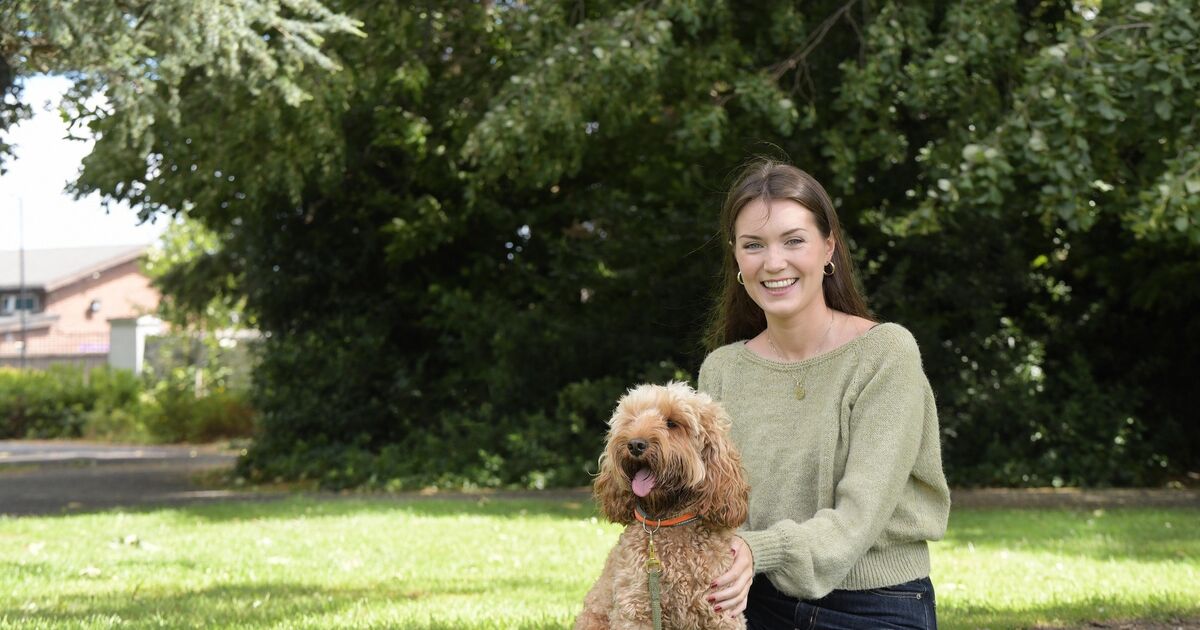 I started housesitting in Ireland and abroad to avoid paying rent – this is my experience