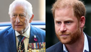 ‘Won’t happen’: Chasm between Prince Harry, Royal Family just too deep to repair, royal biographer Angela Levin says