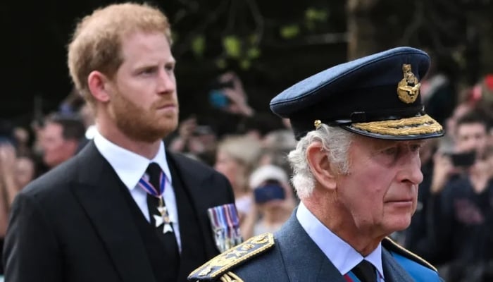 Prince Harry felt like official visitor not family during King Charles reunion