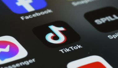 Czech analysts discovered 286 pro-Russian accounts on TikTok before the elections