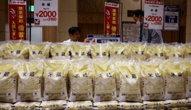 Rice prices in Japan rebound to 13-week high
