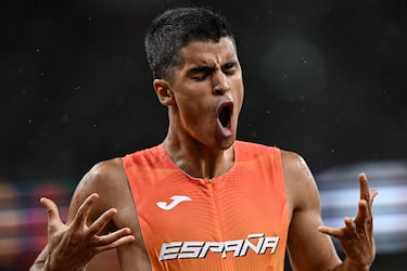 El coyote atrapa al correcaminos 