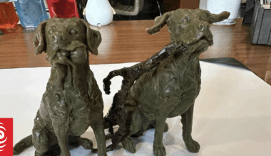 Invercargill's new bronze dogs prove contentious