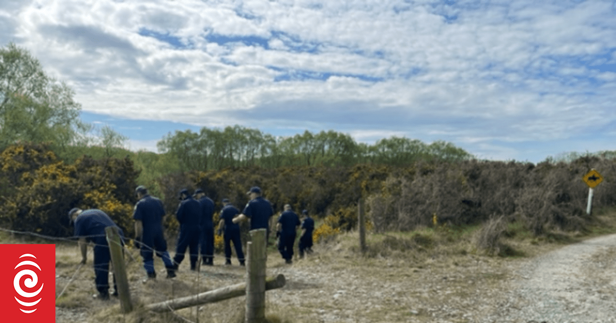 Man lured to reserve, shot out of a tree and beaten to death, Crown alleges