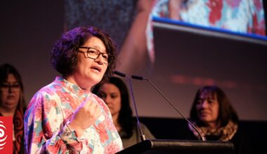 More Māori nurses are needed, NZ Nurses Organisation says