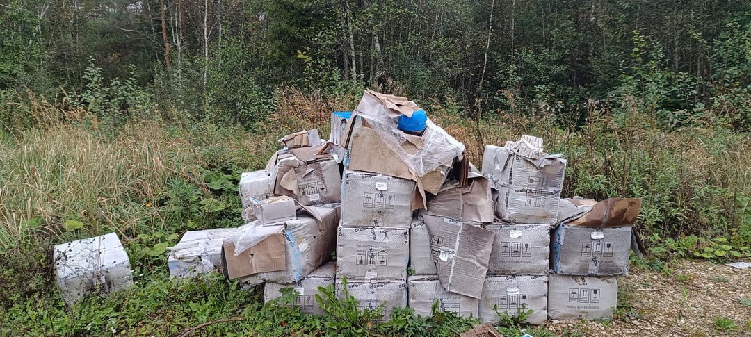 Käisin metsas pähkleid otsimas!