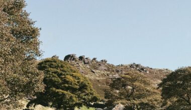 Had a lovely day out in the Staffordshire Moorlands.