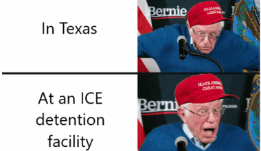 Republican Response to the ICE Shooting This Morning: