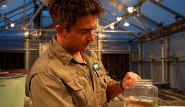 Trump officials shut off funding for climate adaptation centers