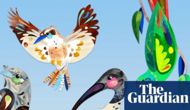 Bird of the year is back – reminding us why joy matters in difficult times | Environment