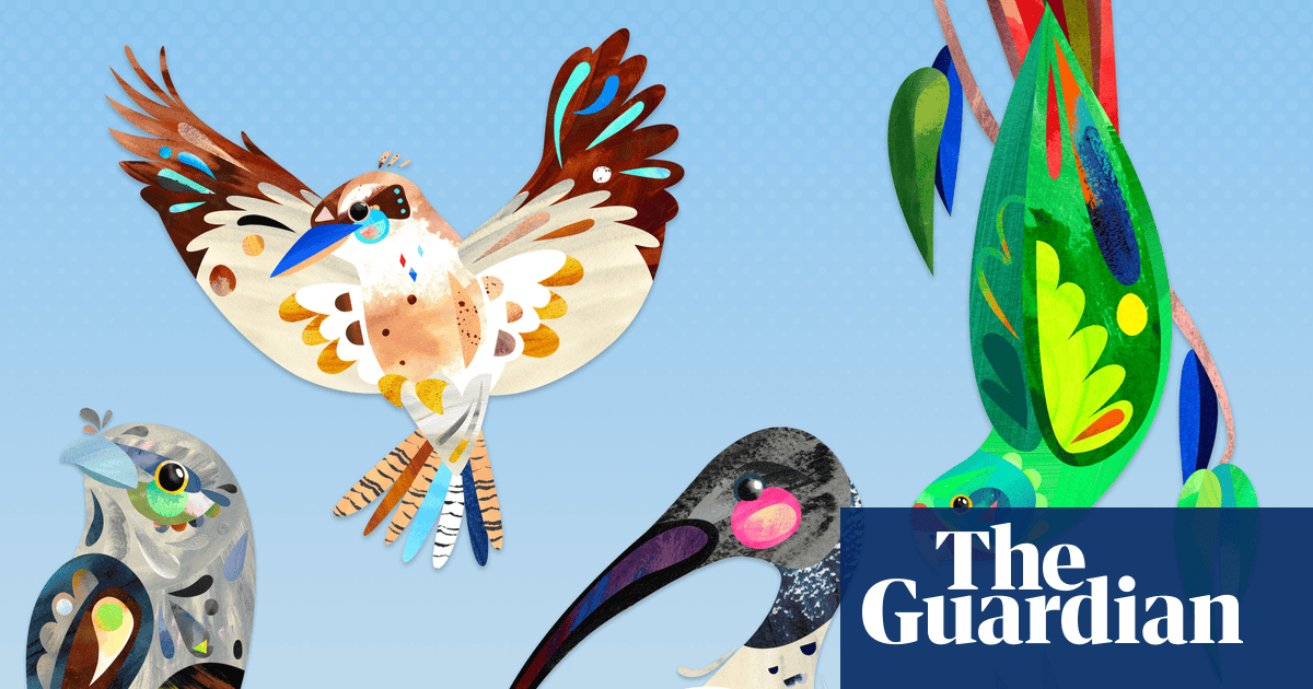 Bird of the year is back – reminding us why joy matters in difficult times | Environment