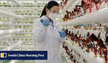 China tackles 2 problems at once with birth subsidy for women in science