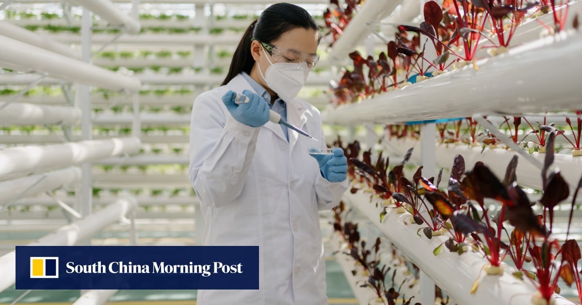 China tackles 2 problems at once with birth subsidy for women in science